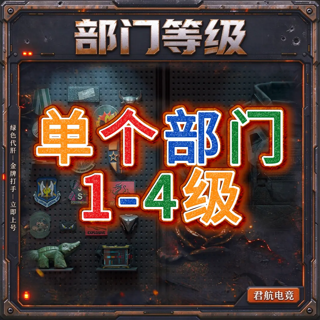 【部门等级】单个部门1-4级自选-君航电竞